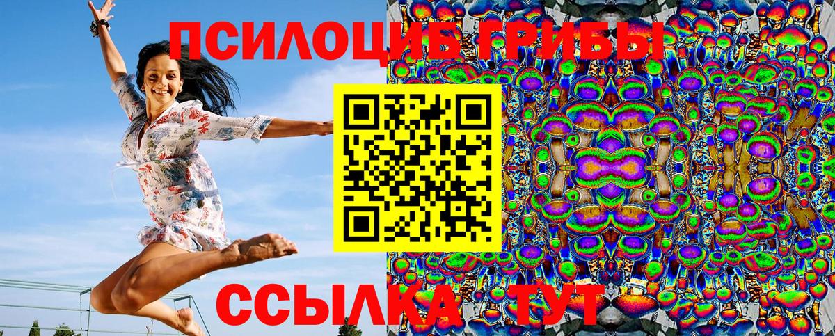 Новоалександровск  Псилоцибиновые грибы Psilocybine cubensis  Псилоцибиновые грибы ЛСД  Вход с VPN 
